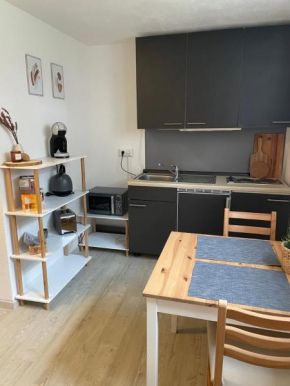 Ferienapartment Nähe Stadtzentrum